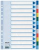 Obrázek Rozdružovač A4 plastový Esselte - barevný / 12 listů