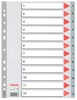 Obrázek Rozdružovač A4 plastový Esselte - šedý / 1 - 12