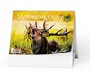 Obrázek Kalendář stolní Myslivecké toulky / BSC5