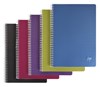 Zobrazit detail produktu - Blok kroužkový Clairefontaine Linicolor intesive A4 - čtvereček / 50 listů / mix barev Obrázek Blok kroužkový Clairefontaine Linicolor intesive A4 - čtvereček / 50 listů / mix barev