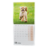Obrázek Kalendář nástěnný poznámkový - Štěňata / BNL2