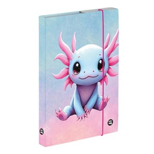 Obrázek Box na sešity A4 - Axolotl