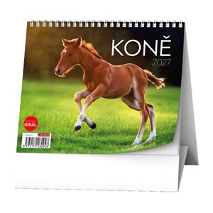 Obrázek Kalendář stolní MINI - Koně / BSL8