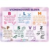 Obrázek Vzdělávací karty A4 - Vyjmenovaná slova / Motýl