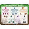 Obrázek Vzdělávací karty A4 - Vyjmenovaná slova / Playworld